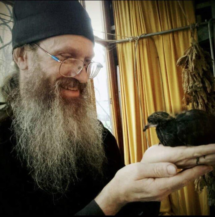 Archpriest Andrey Vinarsky/ Photo: ANGEL ID telegram channel